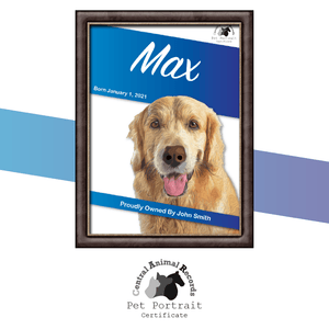 Pet Portrait Certificate (A4) - Central Animal Records