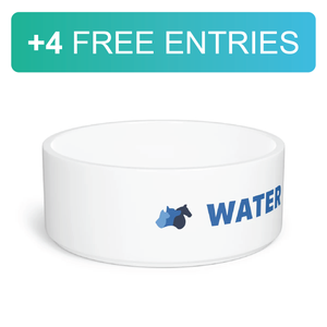 Pet Water Bowl