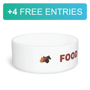 Pet Food Bowl