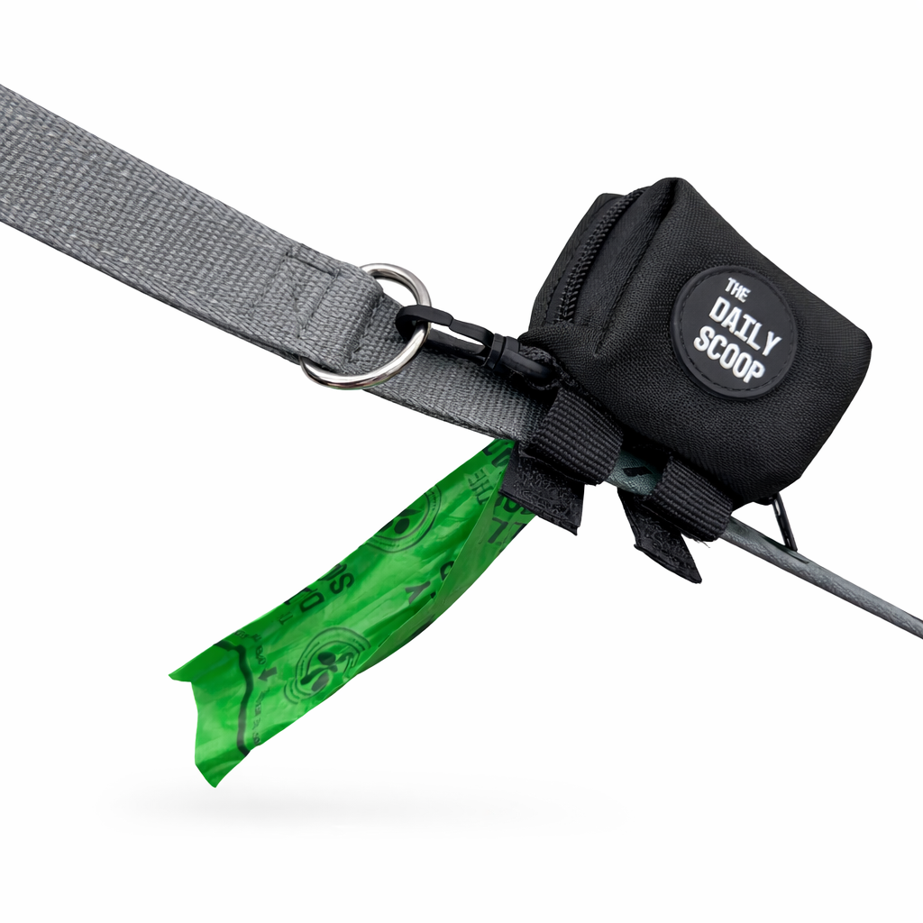 The Daily Scoop Luxury Dispenser