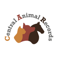 Brand 1 logo