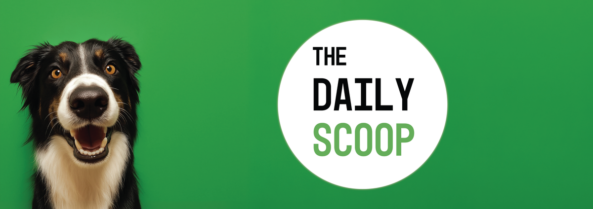 The Daily Scoop Est. 2026