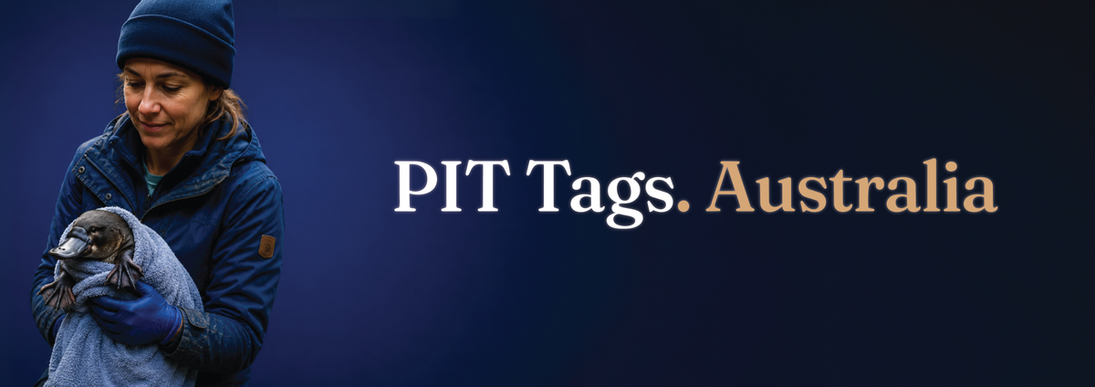 PIT Tags Australia Est. 1989