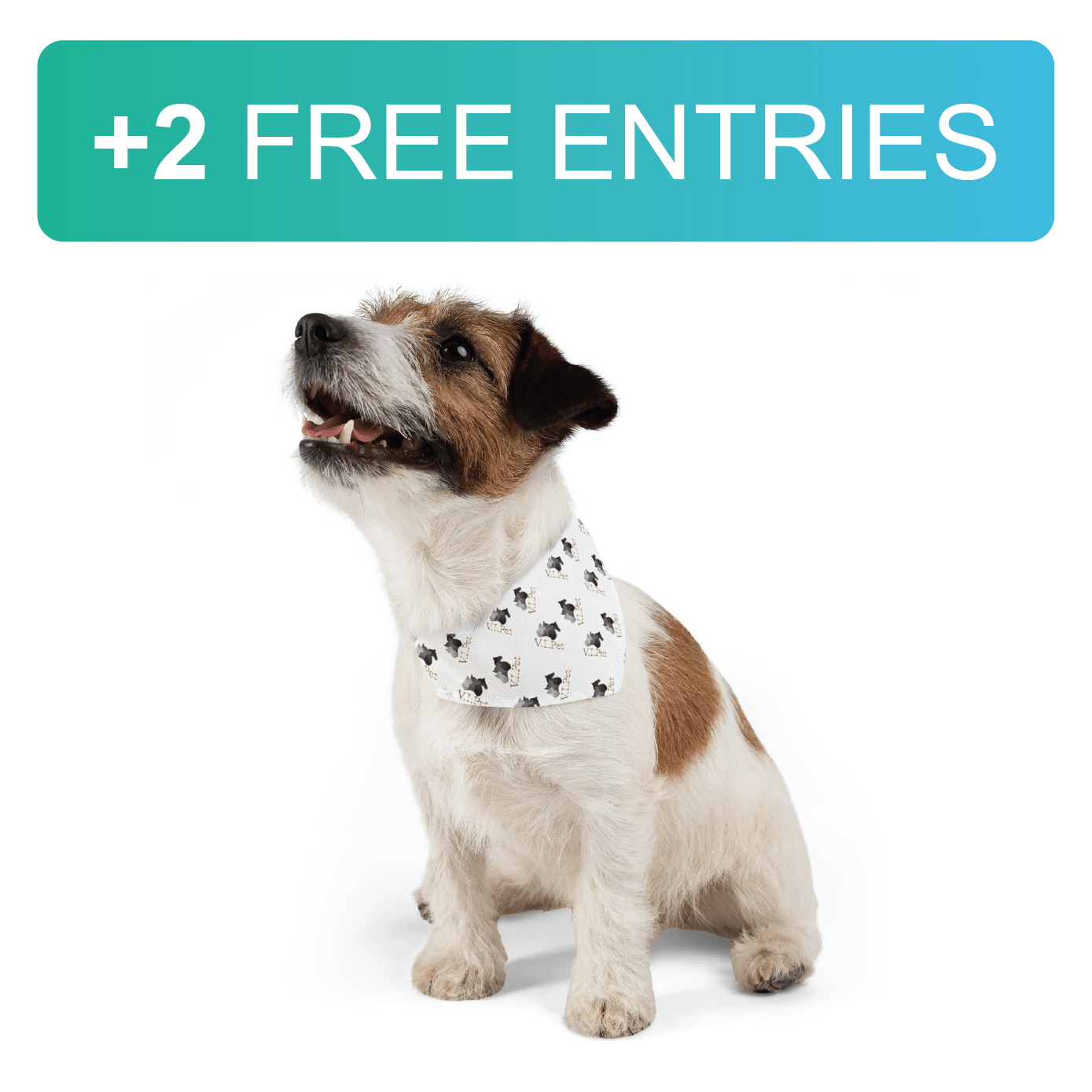 V.I.Pet Bandana Collar - Central Animal Records