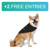 V.I.Pet Classic Pet Bandana - Central Animal Records