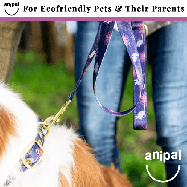 Dog Leash Range by Anipal - $45.95