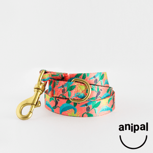 Dog Leash Range by Anipal - $45.95 - Central Animal Records