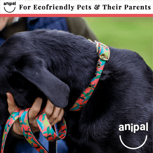 Dog Leash Range by Anipal - $45.95 - Central Animal Records