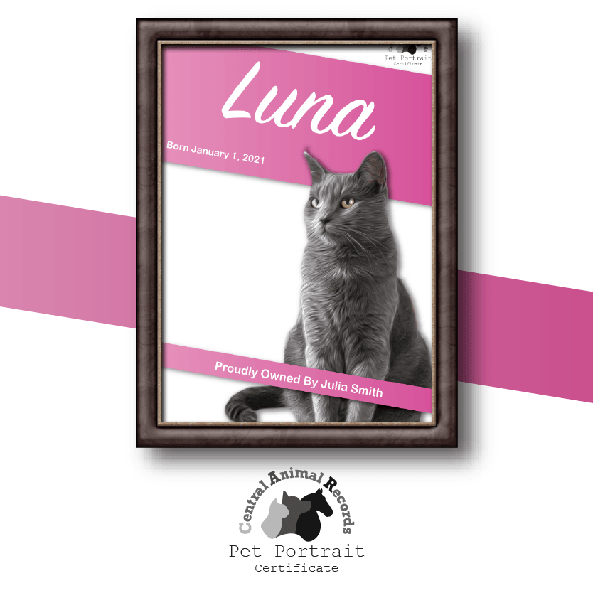Pet Portrait Certificate (A4) - Central Animal Records
