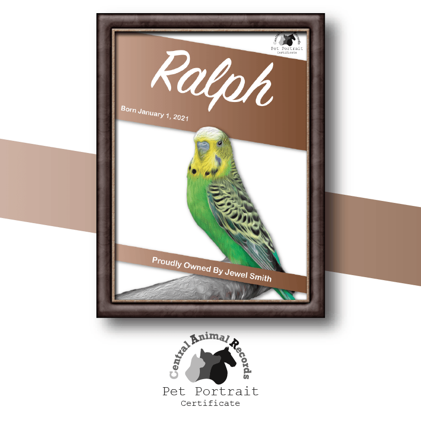 Pet Portrait Certificate (A4) - Central Animal Records