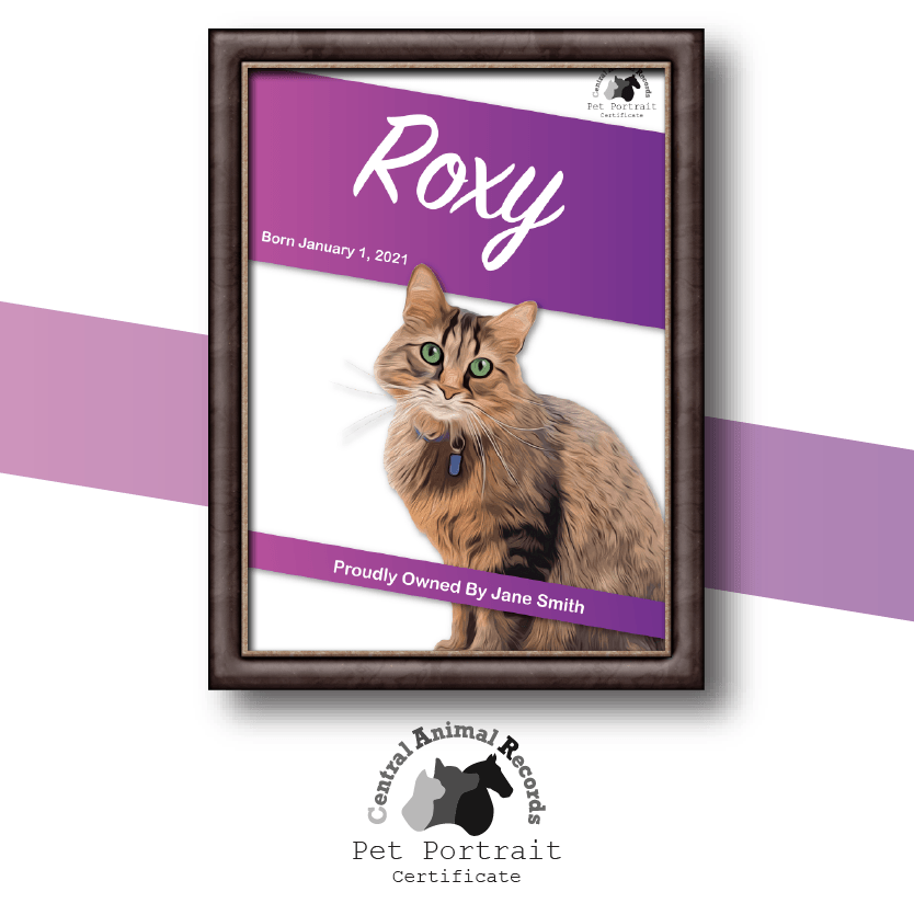 Pet Portrait Certificate (A4) - Central Animal Records