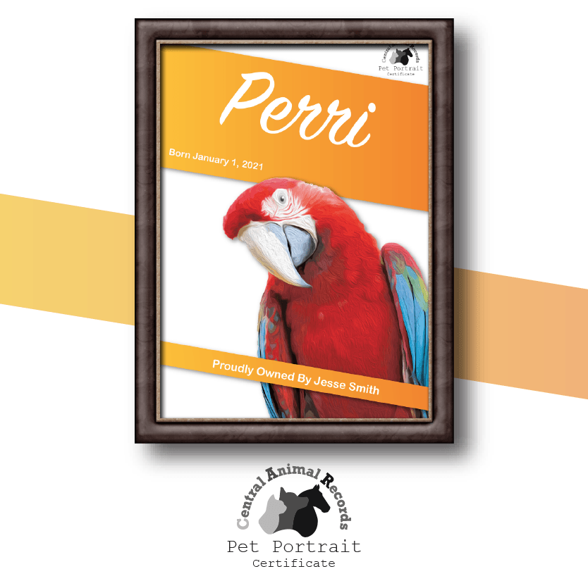 Pet Portrait Certificate (A4) - Central Animal Records