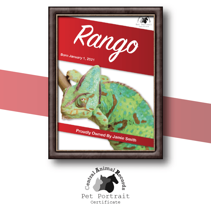 Pet Portrait Certificate (A4) - Central Animal Records