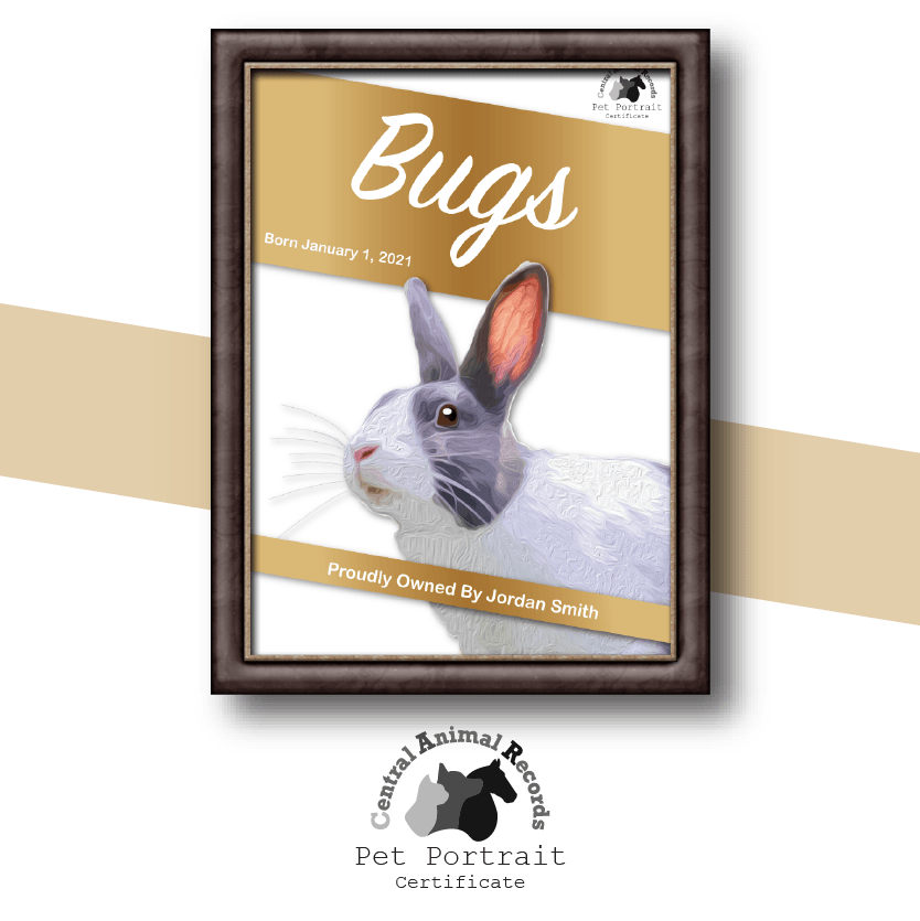 Pet Portrait Certificate (A4) - Central Animal Records