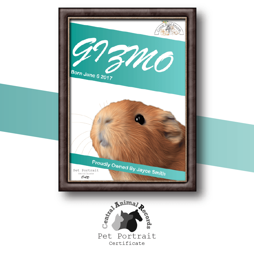 Pet Portrait Certificate (A4) - Central Animal Records