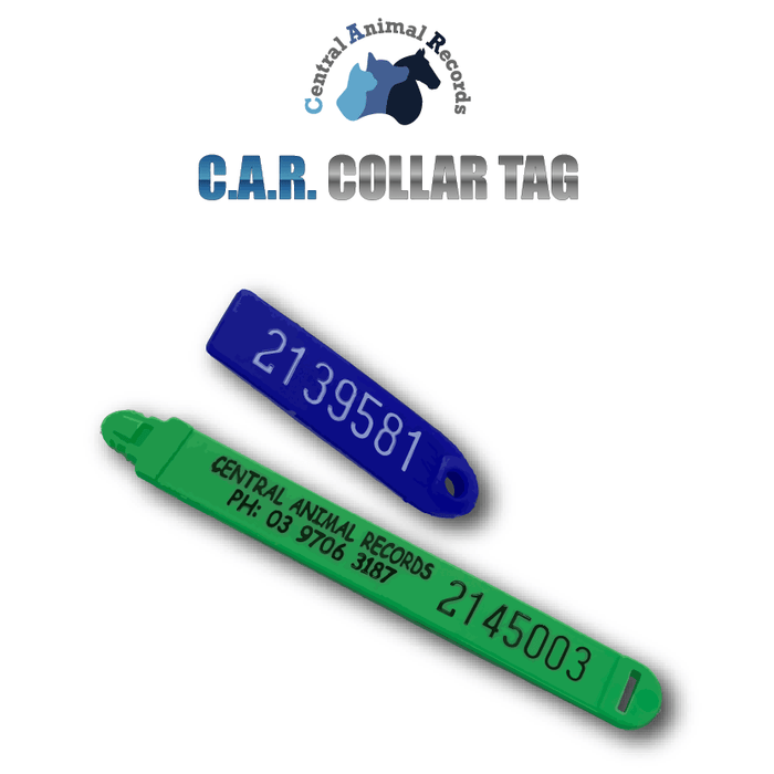CAR Collar Tag - $8.00