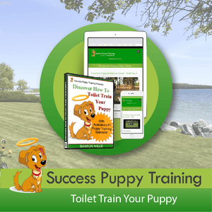 Toilet Train Your Puppy - Online Course (Success Puppy Training) - Central Animal Records