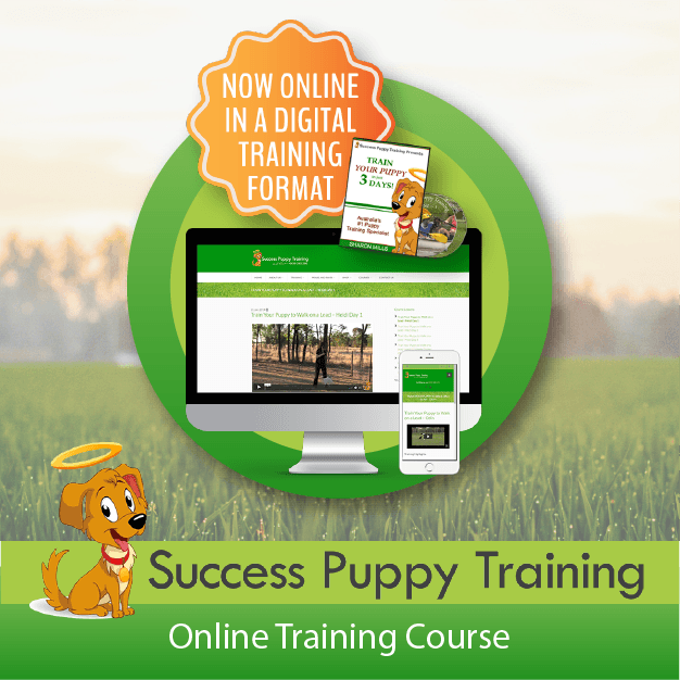 Success Puppy Training - Online Course - Central Animal Records