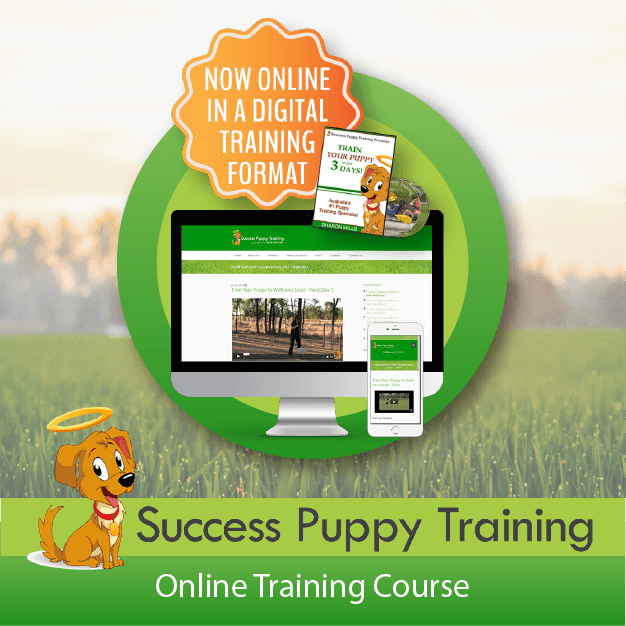 Success Puppy Training - Online Course