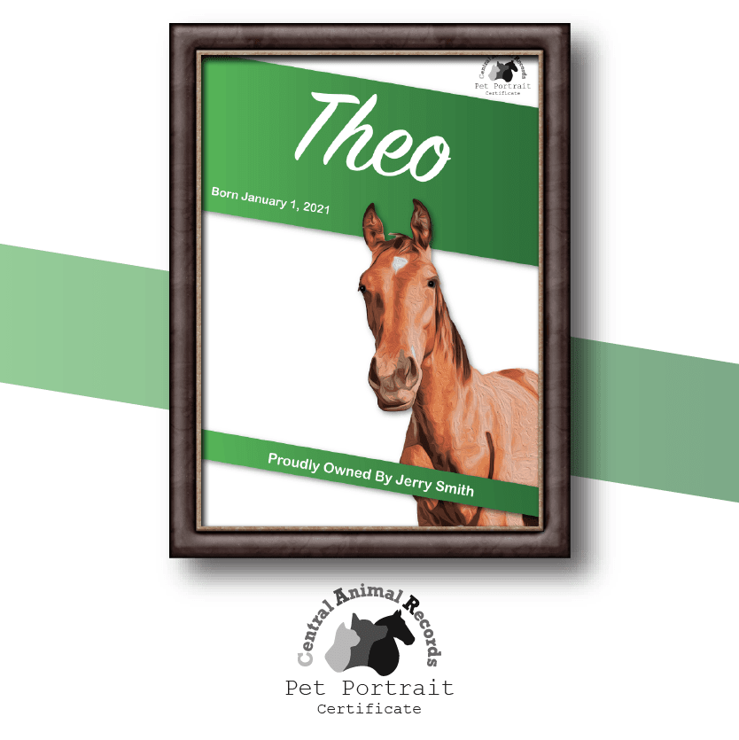 Pet Portrait Certificate (A4) - Central Animal Records